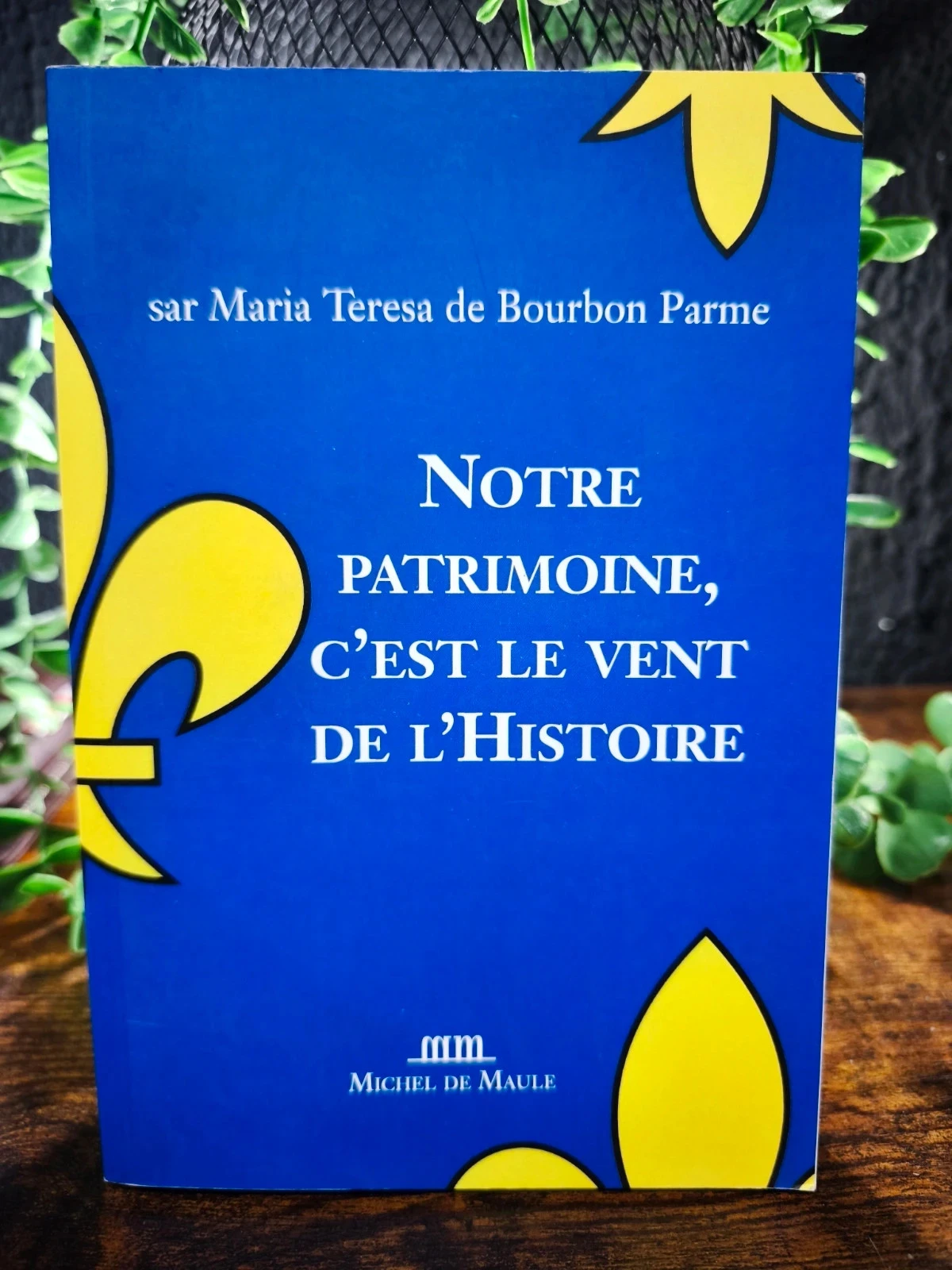 Notre patrimoine, c'est le vent de l'histoire